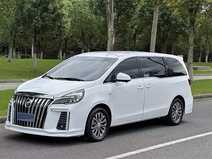 Фото 1 - Buick GL8 ES