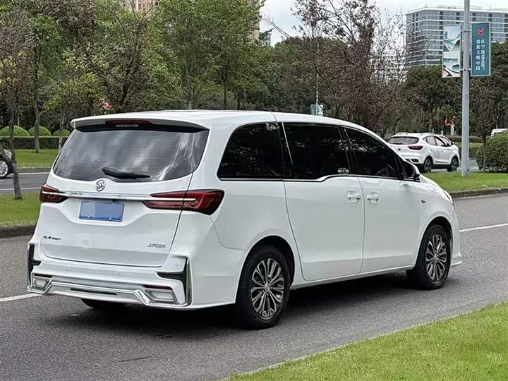 Фото 12 - Buick GL8 ES