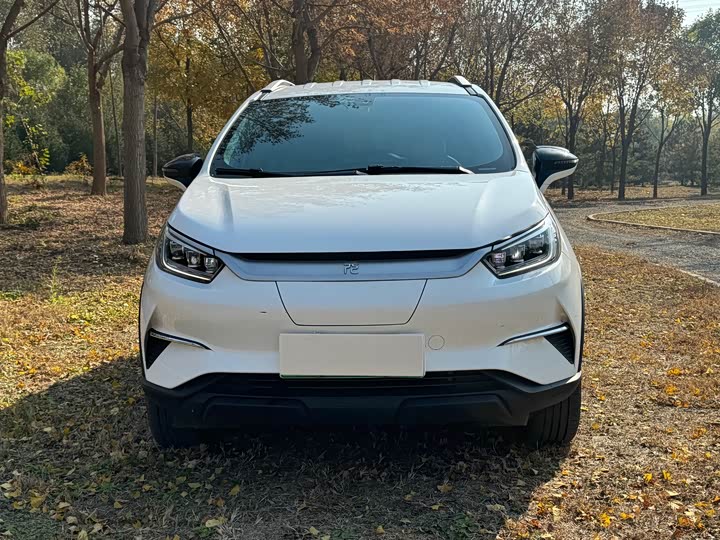 Фото 2 - BYD Yuan Pro