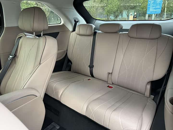 Фото 10 - XPeng X9