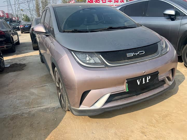 Фото 1 - BYD Dolphin