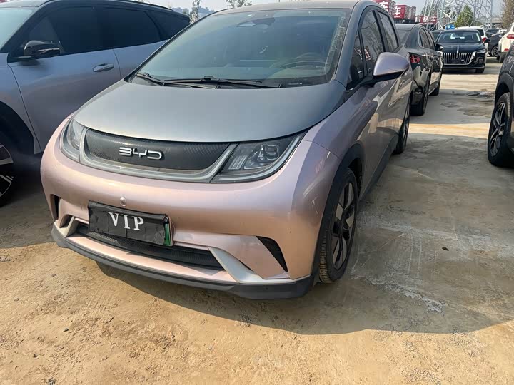 Фото 3 - BYD Dolphin