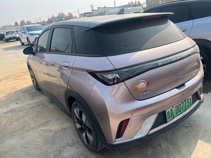 Фото 7 - BYD Dolphin