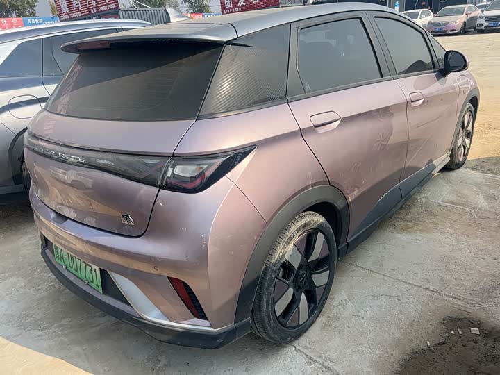 Фото 8 - BYD Dolphin