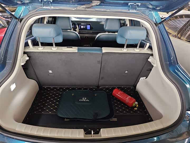 Фото 19 - Ora Good Cat (03)