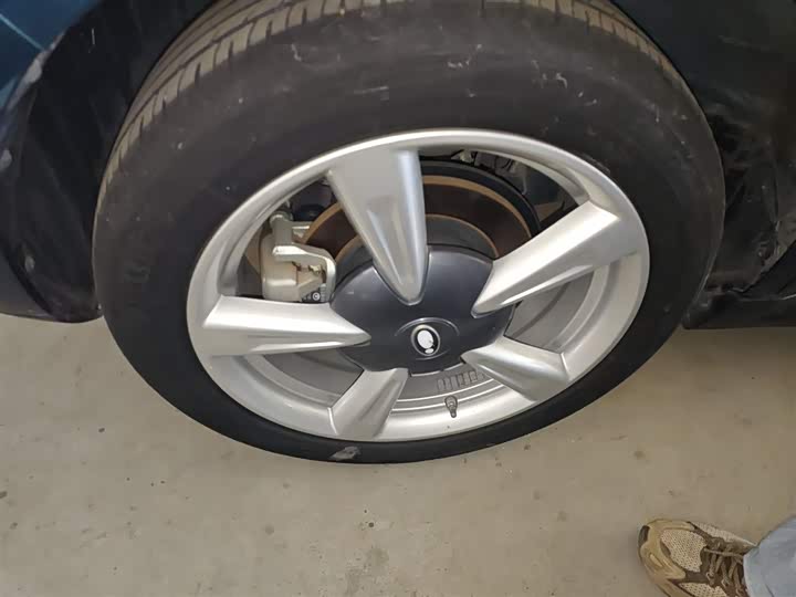 Фото 26 - Ora Good Cat (03)