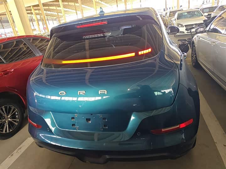 Фото 6 - Ora Good Cat (03)