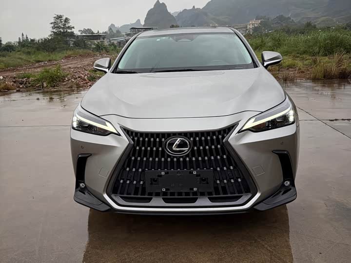 Фото 2 - Lexus NX