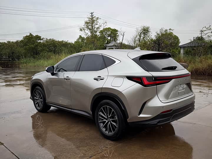 Фото 7 - Lexus NX