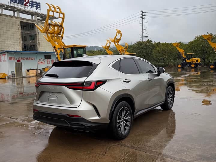 Фото 9 - Lexus NX