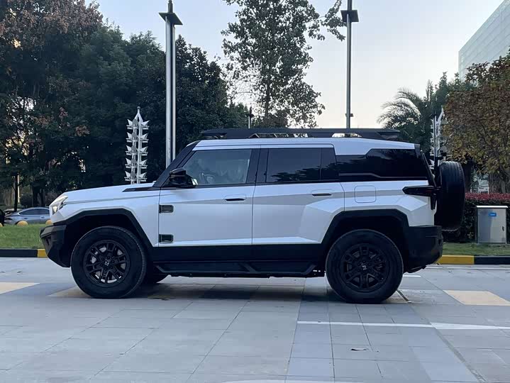 Фото 4 - Dongfeng Mengshi M-Hero 917