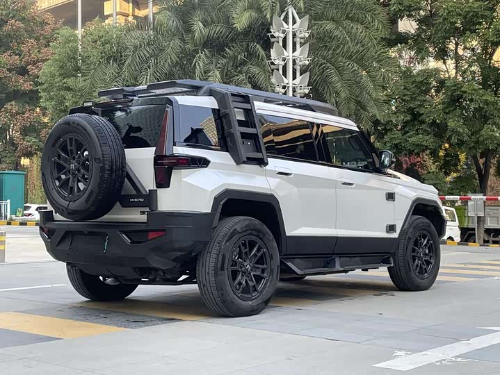 Фото 5 - Dongfeng Mengshi M-Hero 917