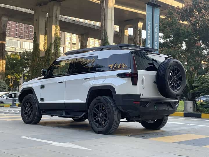 Фото 6 - Dongfeng Mengshi M-Hero 917