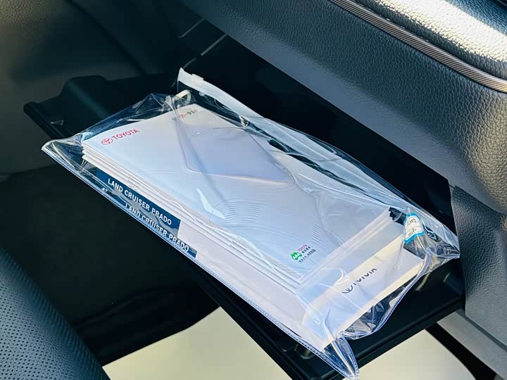 Фото 31 - Toyota Prado