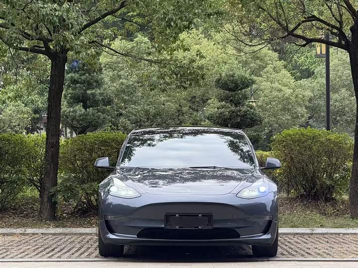 Фото 3 - Tesla Model 3