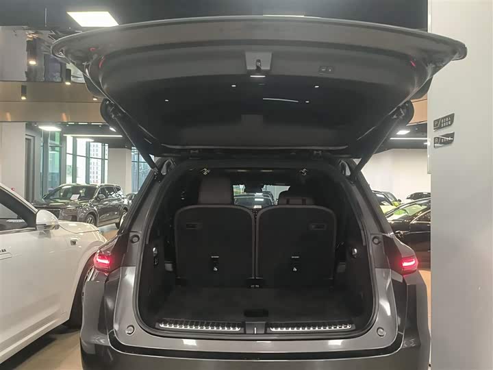 Фото 19 - LiXiang L9