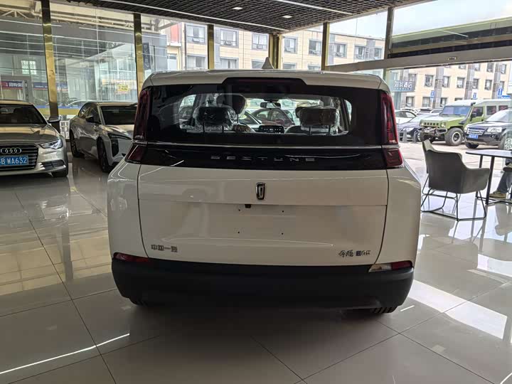 Фото 12 - Bestune NAT