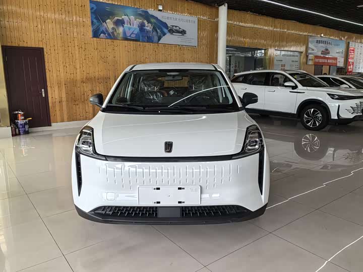 Фото 2 - Bestune NAT