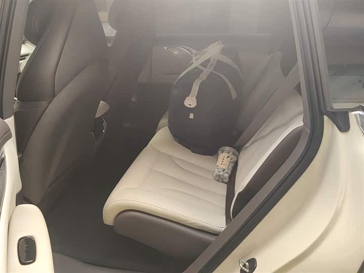 Фото 15 - IM motors LS7