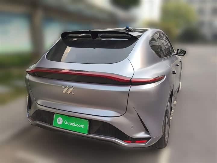 Фото 25 - IM motors LS7