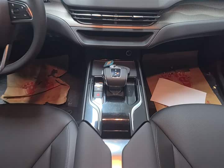 Фото 14 - Hongqi E-QM5