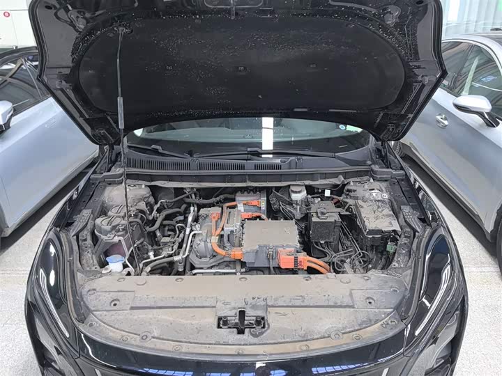 Фото 20 - Hongqi E-QM5