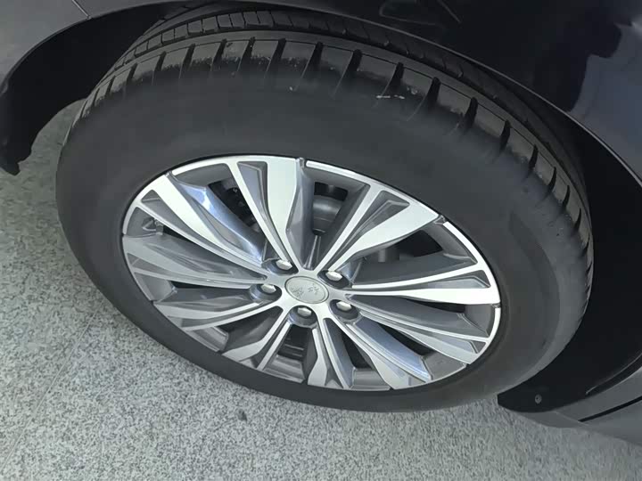 Фото 26 - Hongqi E-QM5