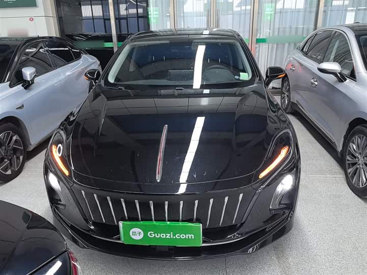 Фото 3 - Hongqi E-QM5