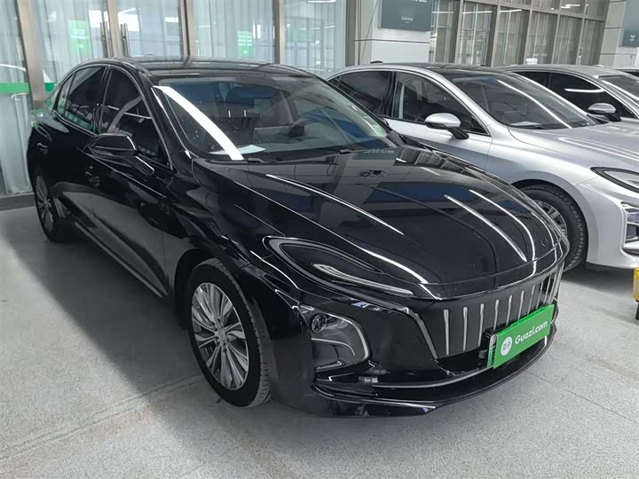 Фото 4 - Hongqi E-QM5