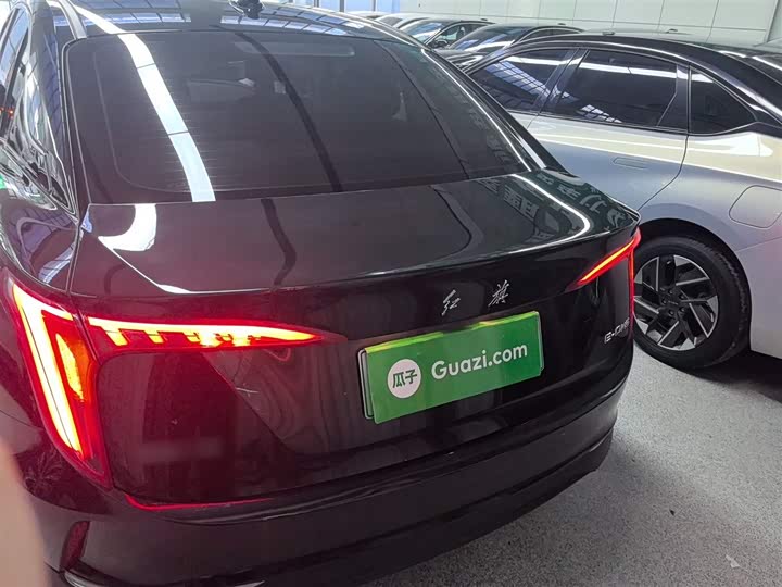 Фото 6 - Hongqi E-QM5