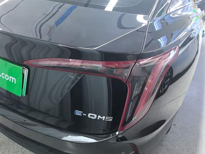 Фото 8 - Hongqi E-QM5