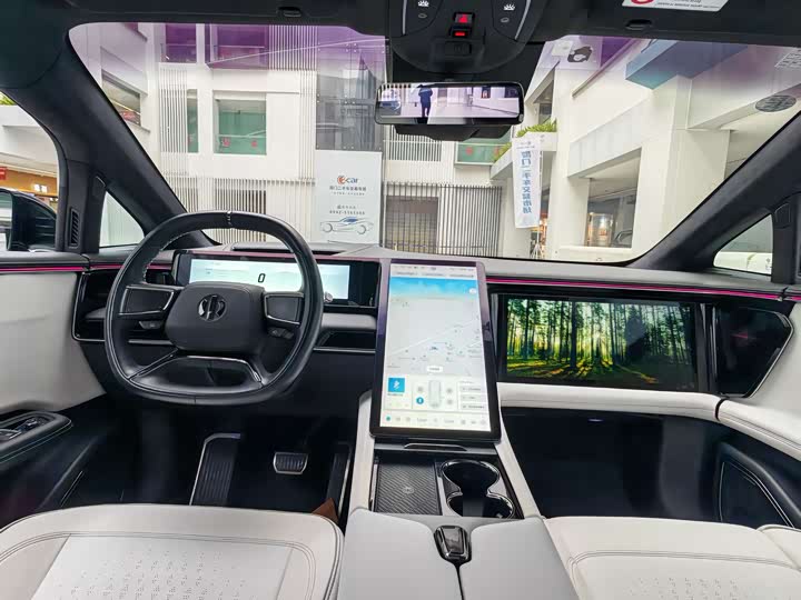 Фото 6 - HiPhi X