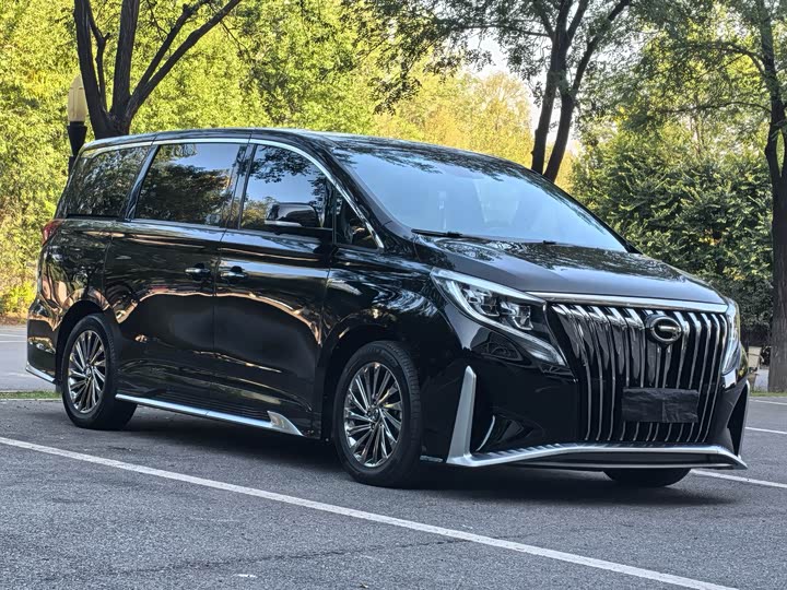 Фото 2 - GAC Trumpchi M8