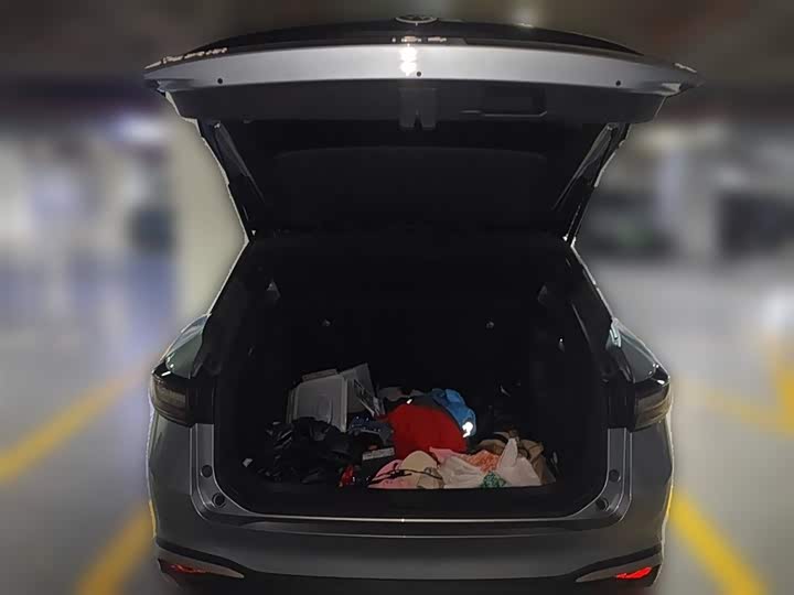 Фото 10 - Volkswagen ID.4 X