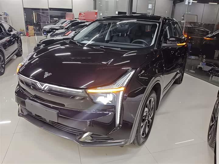 Фото 1 - Hozon U