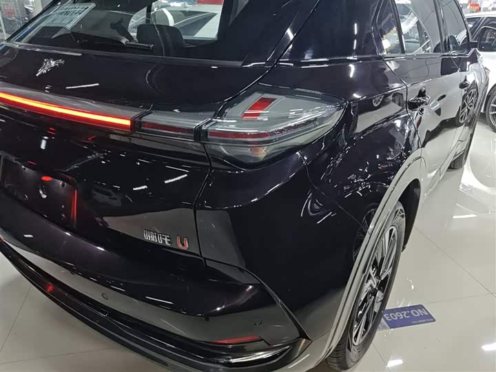 Фото 8 - Hozon U