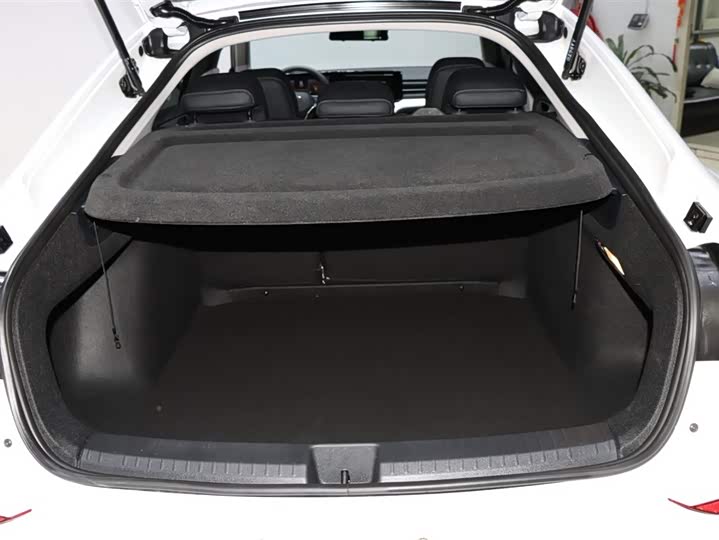 Фото 17 - Volkswagen Lamando L