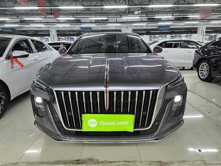 Фото 3 - Hongqi H5