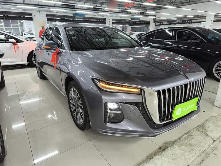 Фото 4 - Hongqi H5