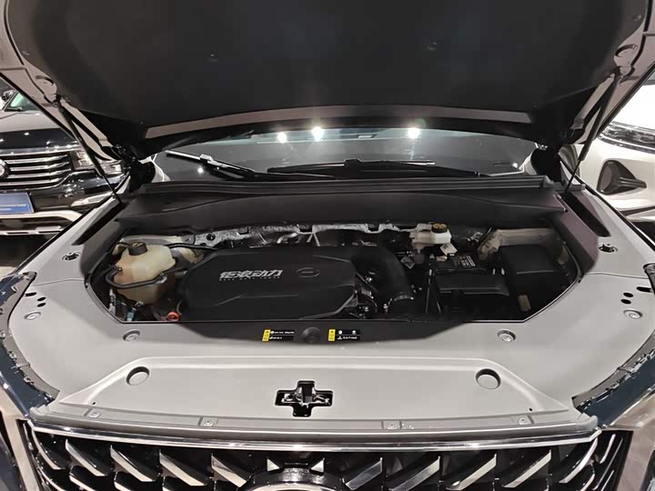 Фото 20 - GAC Trumpchi GS8