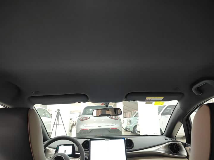 Фото 18 - BYD Dolphin