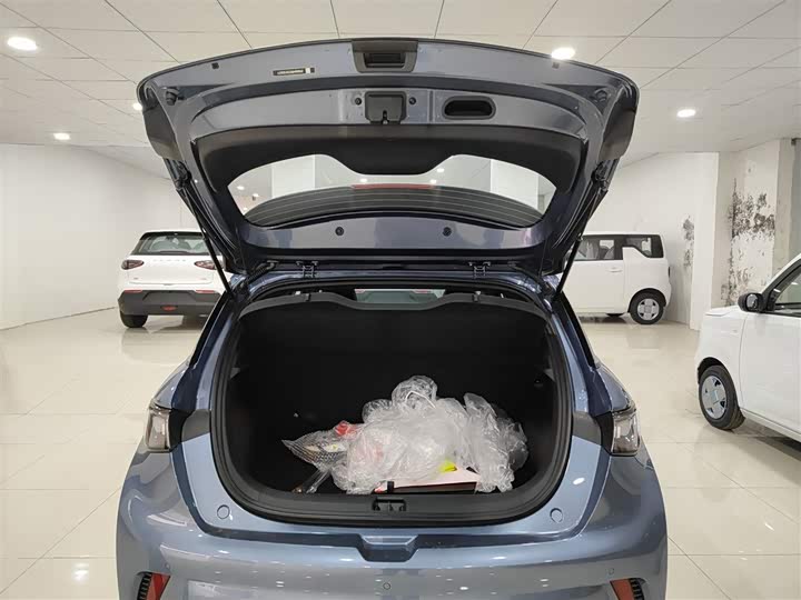 Фото 19 - BYD Dolphin