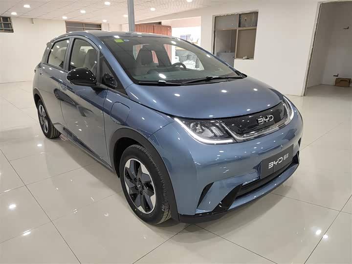 Фото 4 - BYD Dolphin
