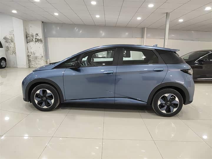 Фото 5 - BYD Dolphin