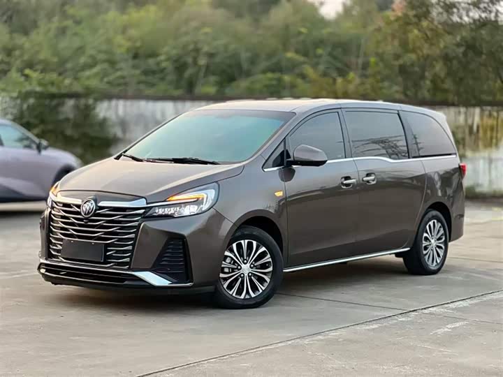 Фото 1 - Buick GL8 ES