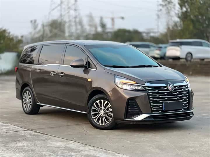 Фото 6 - Buick GL8 ES