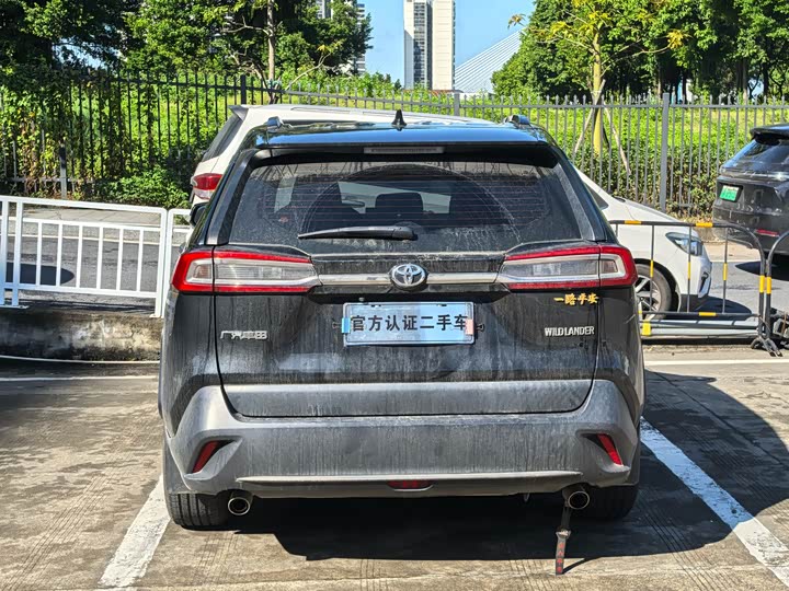 Фото 9 - Toyota Wildlander