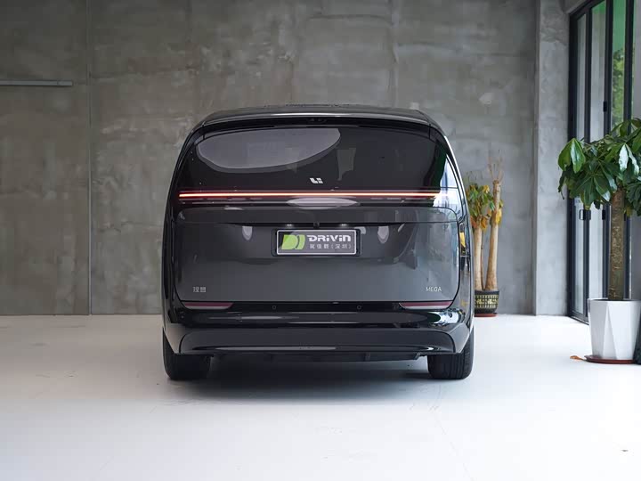 Фото 4 - LiXiang Mega