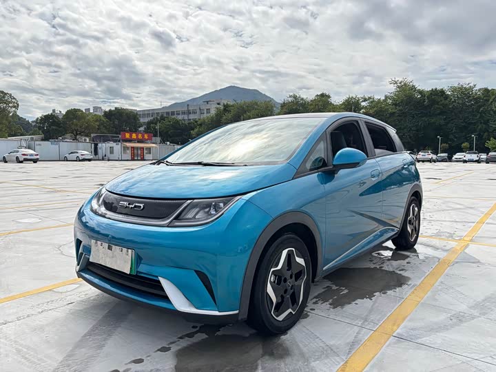 Фото 1 - BYD Dolphin