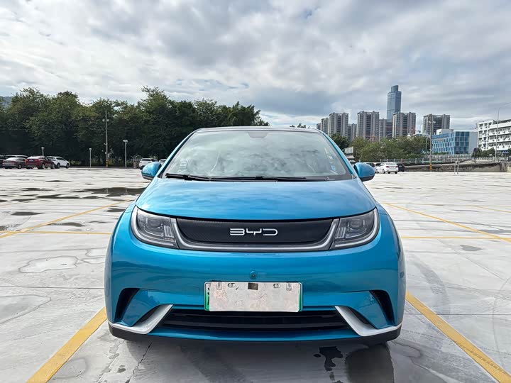 Фото 2 - BYD Dolphin